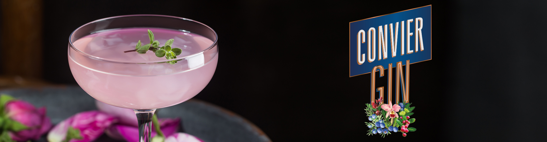 GIn 01